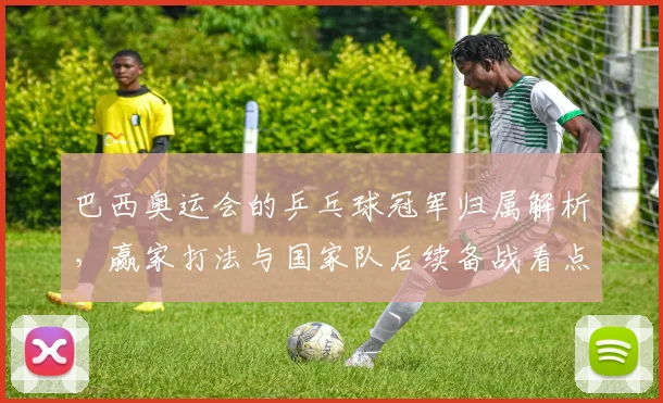 巴西奥运会的乒乓球冠军归属解析,赢家打法与国家队后续备战看点