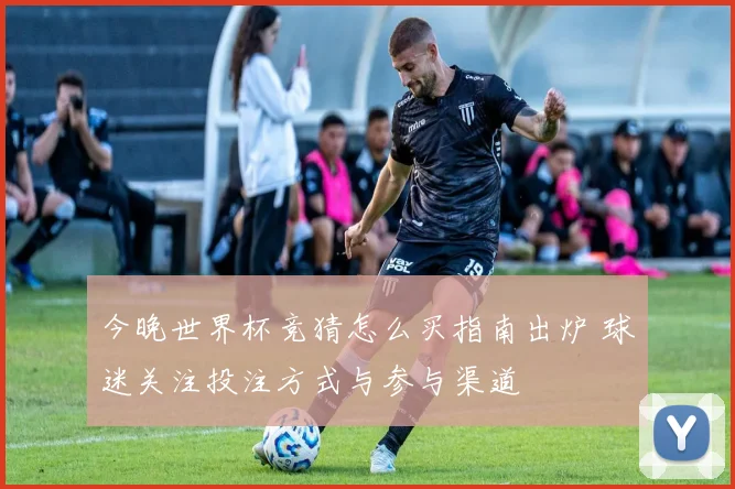 今晚世界杯竞猜怎么买指南出炉 球迷关注投注方式与参与渠道