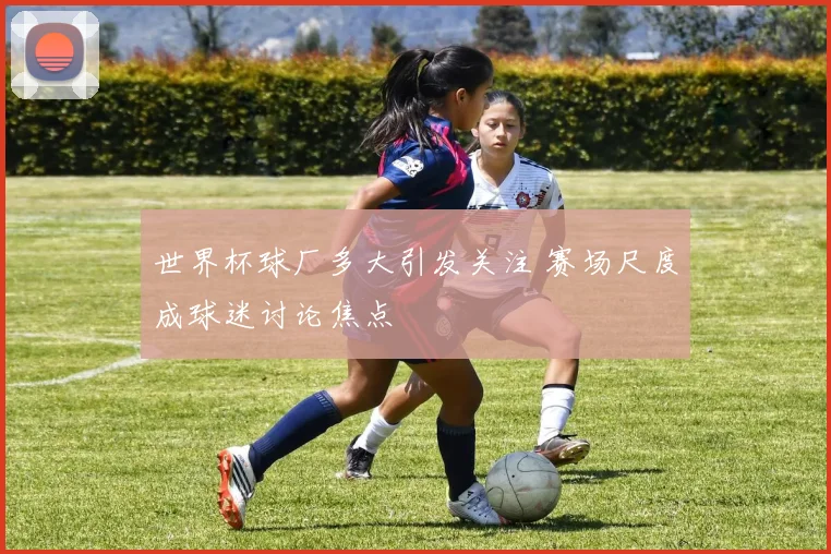 世界杯球厂多大引发关注 赛场尺度成球迷讨论焦点