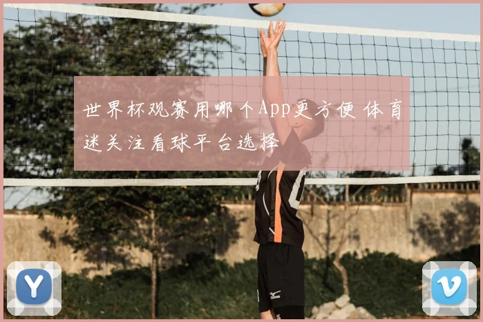 世界杯观赛用哪个App更方便 体育迷关注看球平台选择