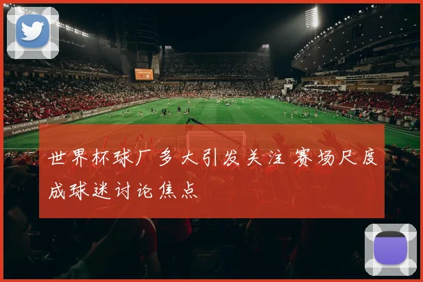 世界杯球厂多大引发关注 赛场尺度成球迷讨论焦点