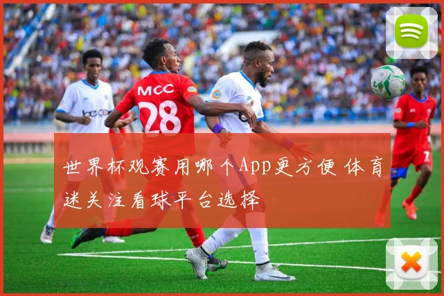 世界杯观赛用哪个App更方便 体育迷关注看球平台选择