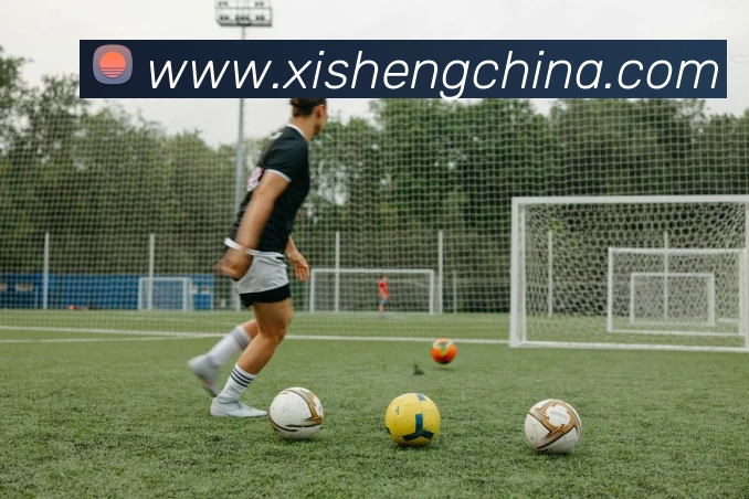 人人体育官网直播平台生态图