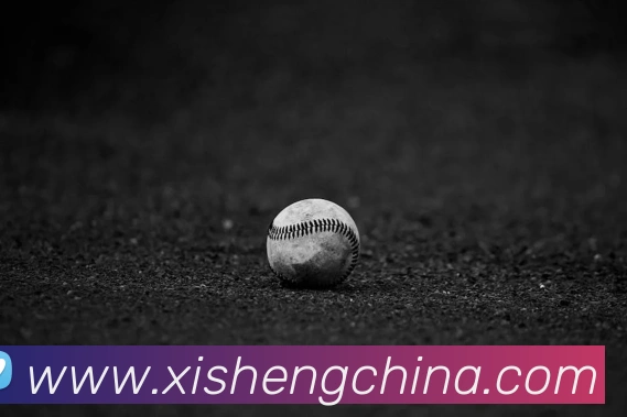 qy球友会官网首页服务体系