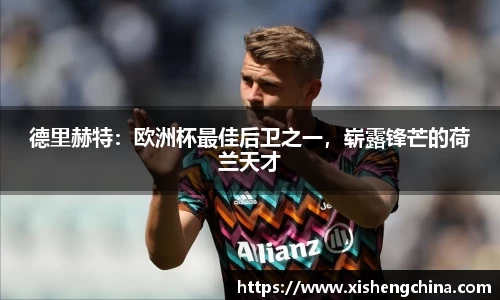 凤凰联盟平台