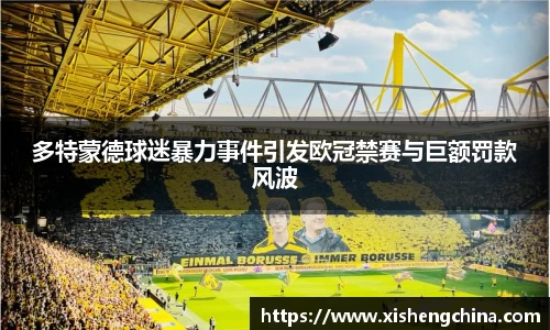 多特蒙德球迷暴力事件引发欧冠禁赛与巨额罚款风波