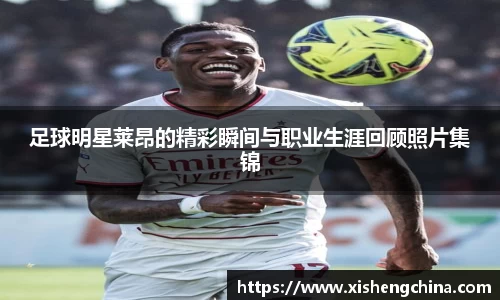凤凰联盟平台
