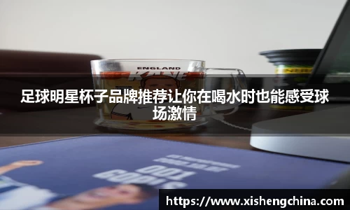 凤凰联盟app